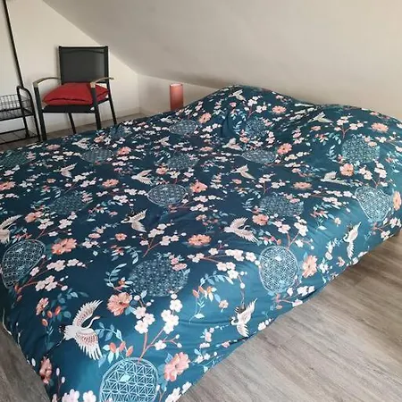 Tatil Evi Charmante Maison Les Cedres Bleus *